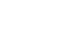 Residential Pest Control