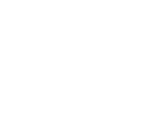 Reconstruction & Repair