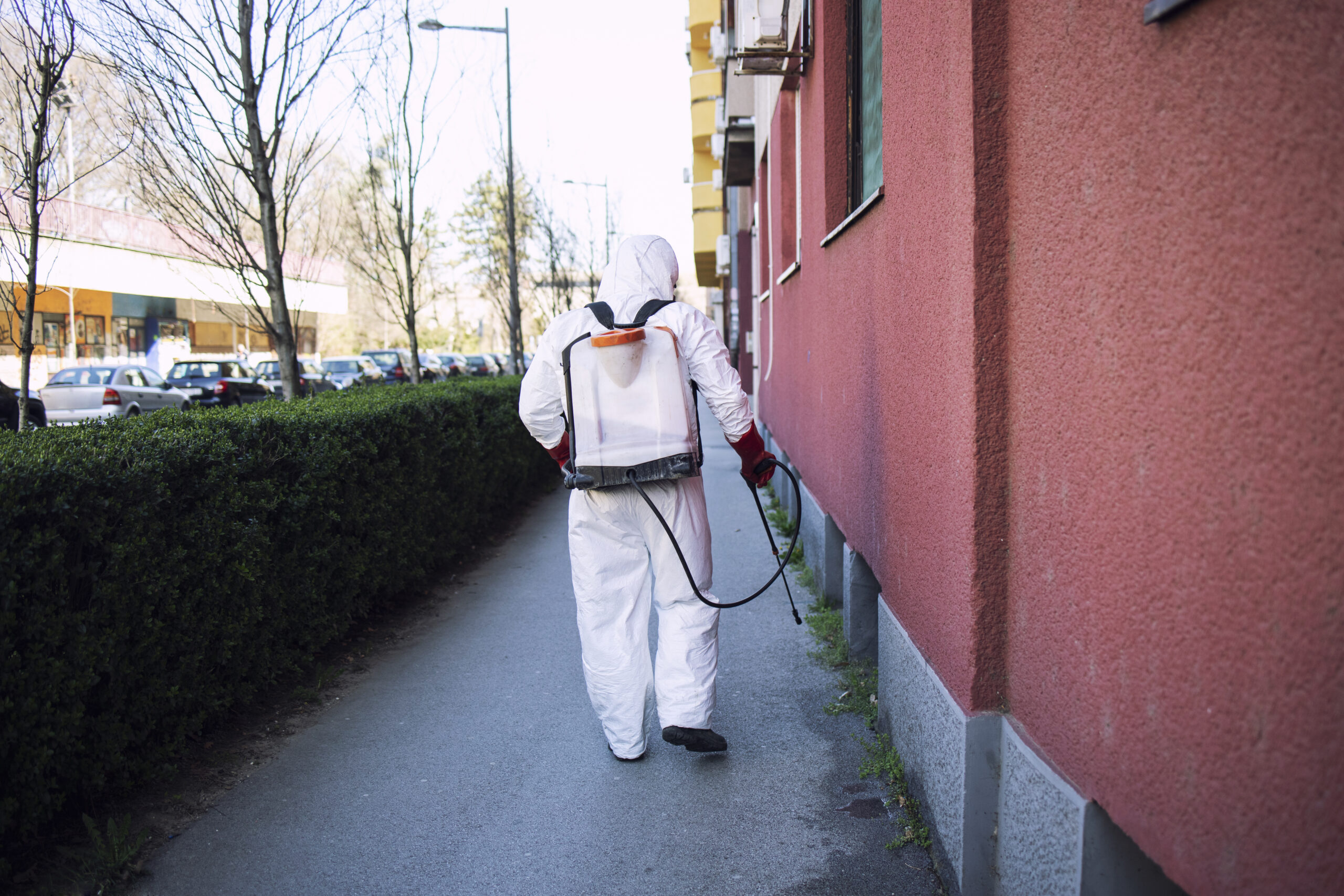 Residential Mold Removal & Remediation service in Harmony, CA